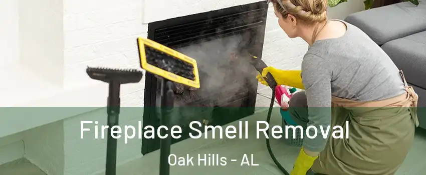 Fireplace Smell Removal Oak Hills - AL