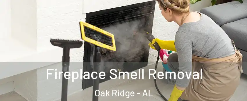 Fireplace Smell Removal Oak Ridge - AL