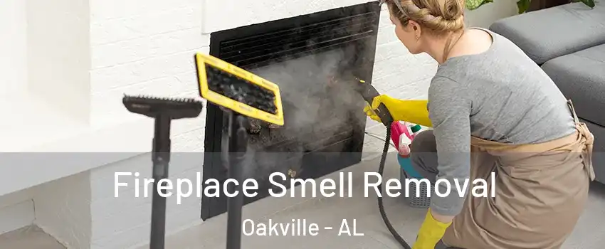 Fireplace Smell Removal Oakville - AL