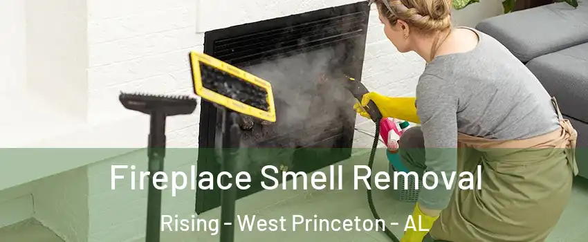 Fireplace Smell Removal Rising - West Princeton - AL