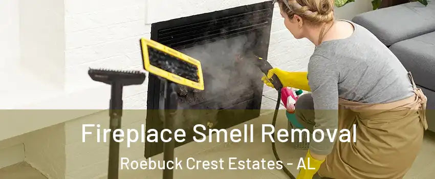 Fireplace Smell Removal Roebuck Crest Estates - AL