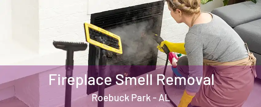 Fireplace Smell Removal Roebuck Park - AL