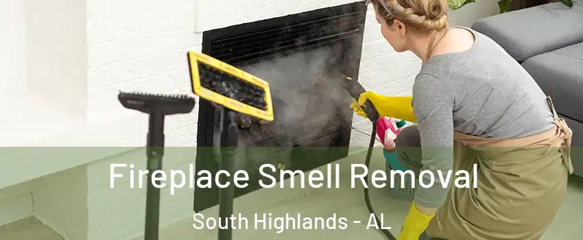 Fireplace Smell Removal South Highlands - AL