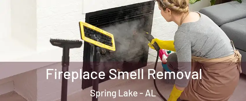 Fireplace Smell Removal Spring Lake - AL