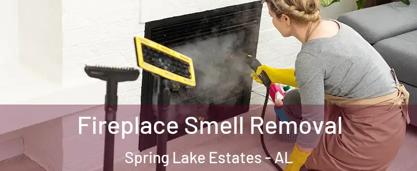 Fireplace Smell Removal Spring Lake Estates - AL