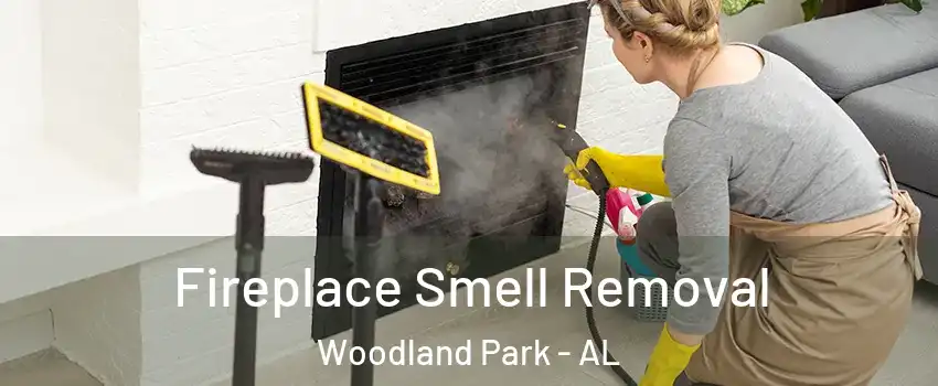 Fireplace Smell Removal Woodland Park - AL