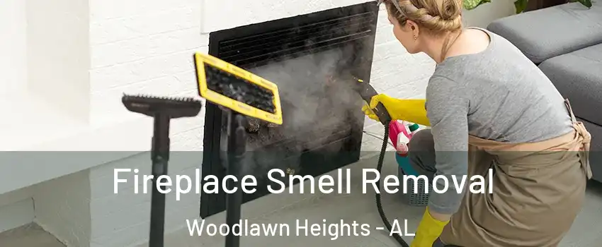 Fireplace Smell Removal Woodlawn Heights - AL