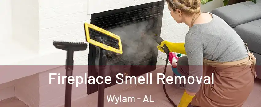 Fireplace Smell Removal Wylam - AL