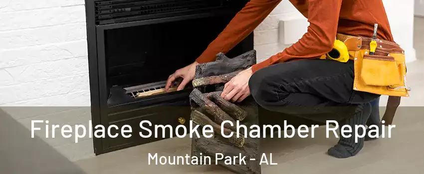 Fireplace Smoke Chamber Repair Mountain Park - AL