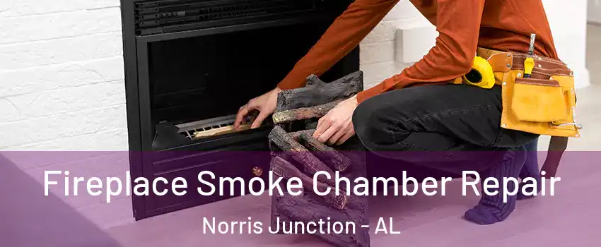 Fireplace Smoke Chamber Repair Norris Junction - AL