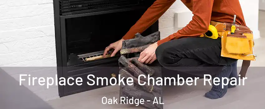 Fireplace Smoke Chamber Repair Oak Ridge - AL