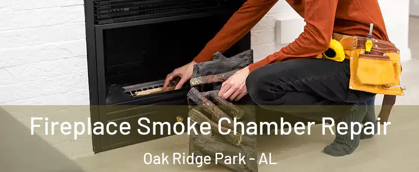 Fireplace Smoke Chamber Repair Oak Ridge Park - AL