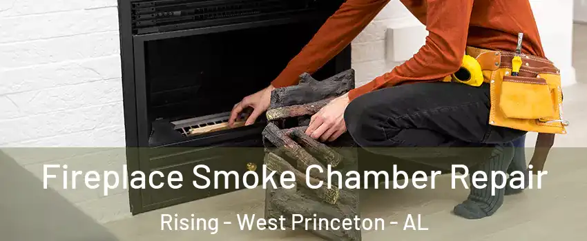 Fireplace Smoke Chamber Repair Rising - West Princeton - AL