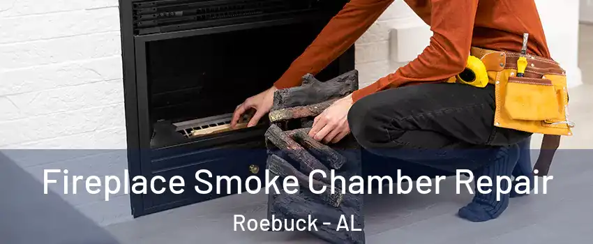 Fireplace Smoke Chamber Repair Roebuck - AL