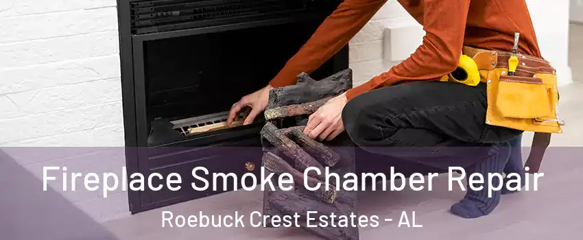 Fireplace Smoke Chamber Repair Roebuck Crest Estates - AL