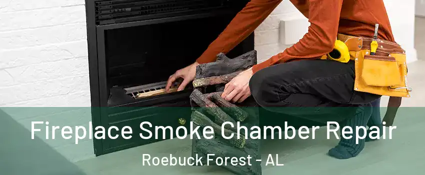 Fireplace Smoke Chamber Repair Roebuck Forest - AL