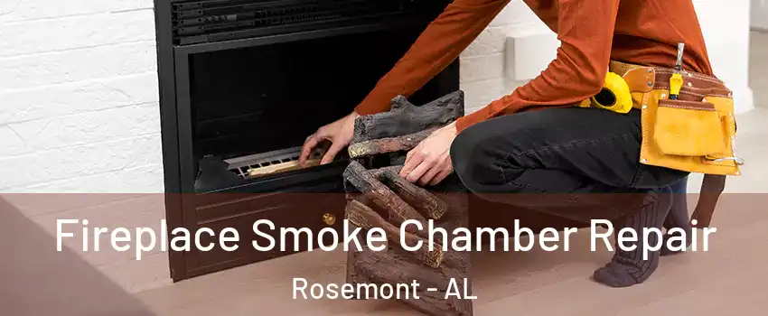Fireplace Smoke Chamber Repair Rosemont - AL