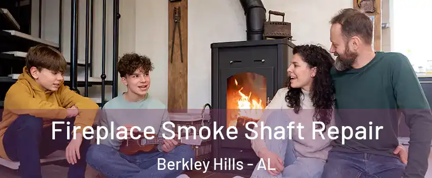 Fireplace Smoke Shaft Repair Berkley Hills - AL