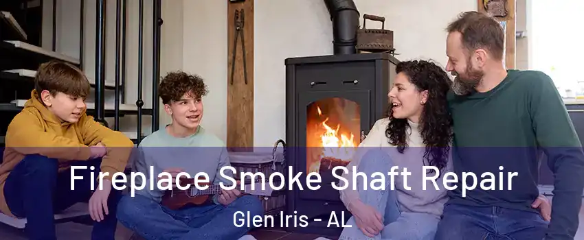 Fireplace Smoke Shaft Repair Glen Iris - AL