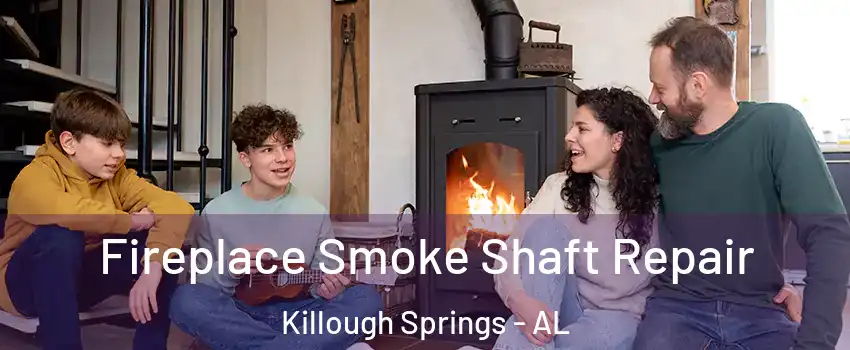 Fireplace Smoke Shaft Repair Killough Springs - AL