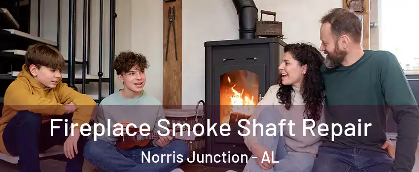 Fireplace Smoke Shaft Repair Norris Junction - AL