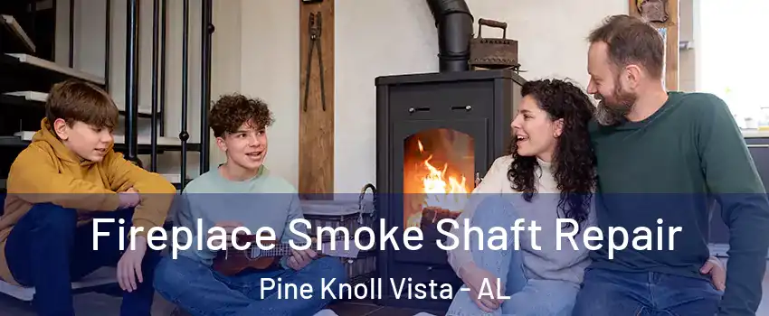 Fireplace Smoke Shaft Repair Pine Knoll Vista - AL