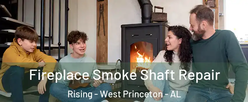 Fireplace Smoke Shaft Repair Rising - West Princeton - AL