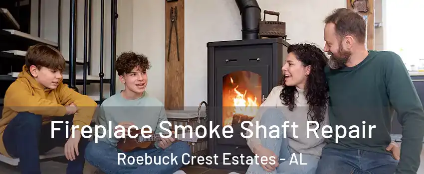 Fireplace Smoke Shaft Repair Roebuck Crest Estates - AL