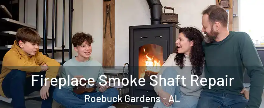 Fireplace Smoke Shaft Repair Roebuck Gardens - AL