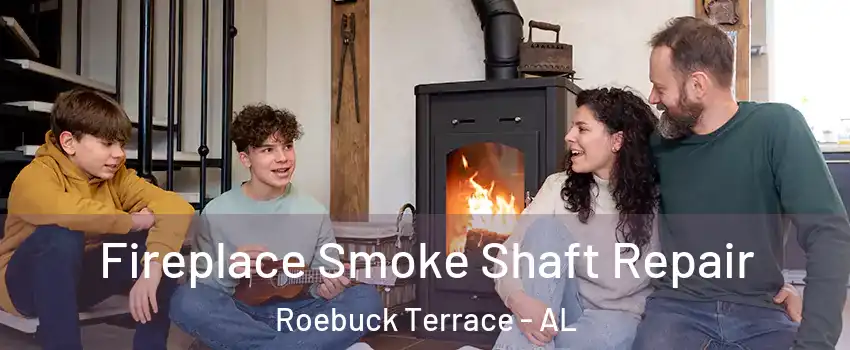 Fireplace Smoke Shaft Repair Roebuck Terrace - AL