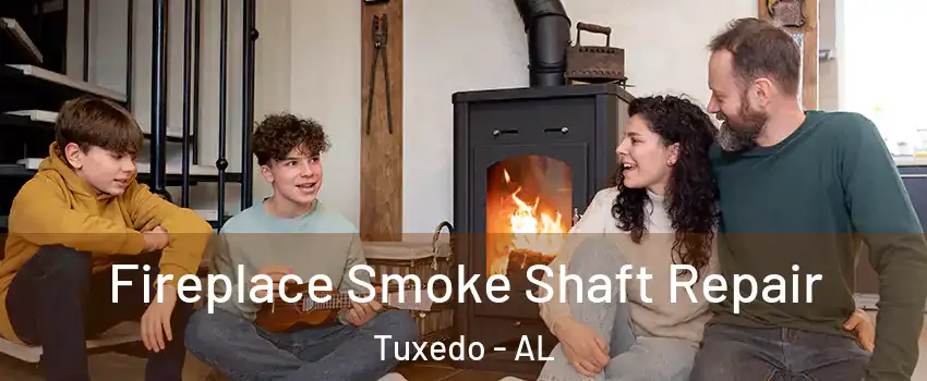 Fireplace Smoke Shaft Repair Tuxedo - AL