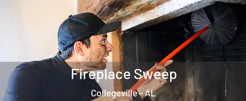 Fireplace Sweep Collegeville - AL