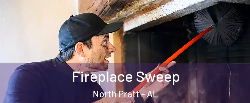 Fireplace Sweep North Pratt - AL