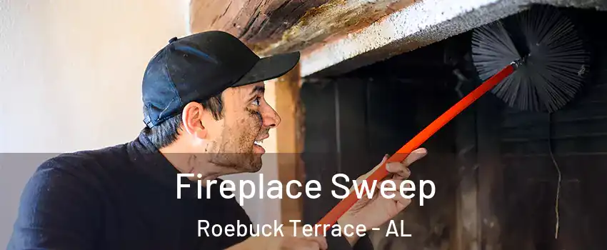 Fireplace Sweep Roebuck Terrace - AL