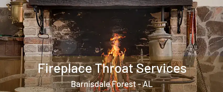 Fireplace Throat Services Barnisdale Forest - AL