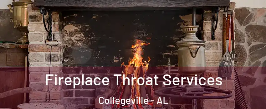 Fireplace Throat Services Collegeville - AL