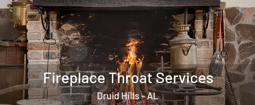 Fireplace Throat Services Druid Hills - AL