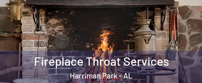 Fireplace Throat Services Harriman Park - AL