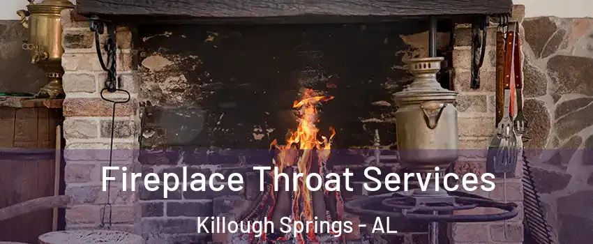 Fireplace Throat Services Killough Springs - AL