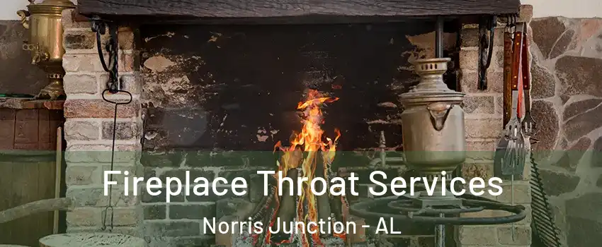 Fireplace Throat Services Norris Junction - AL