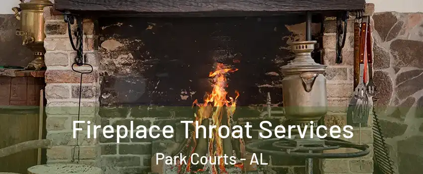 Fireplace Throat Services Park Courts - AL