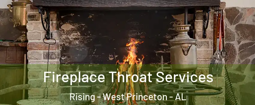 Fireplace Throat Services Rising - West Princeton - AL