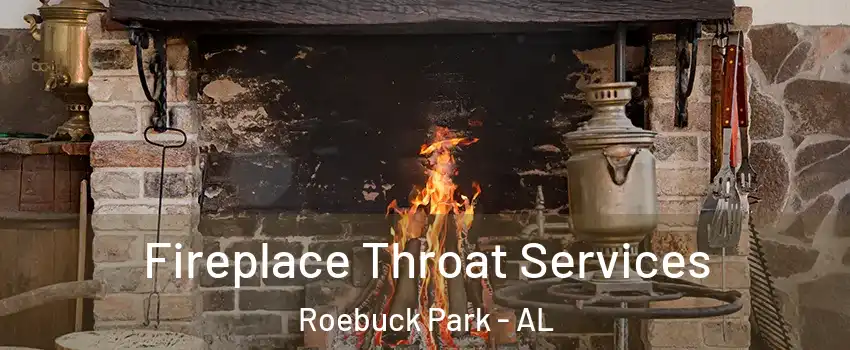 Fireplace Throat Services Roebuck Park - AL