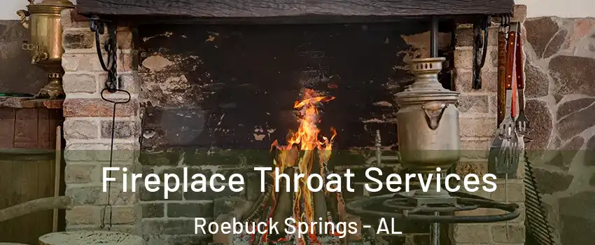 Fireplace Throat Services Roebuck Springs - AL