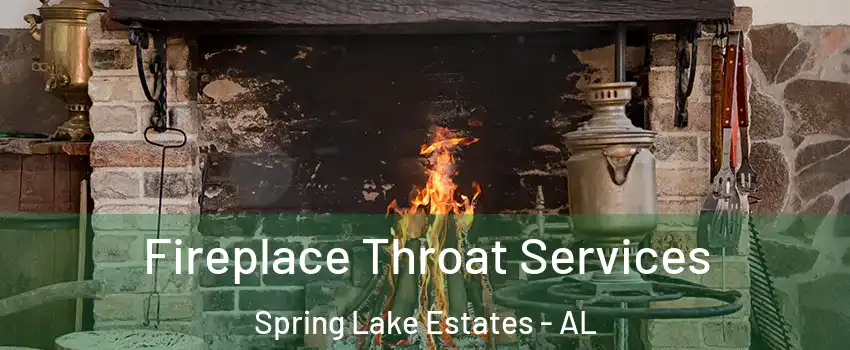 Fireplace Throat Services Spring Lake Estates - AL