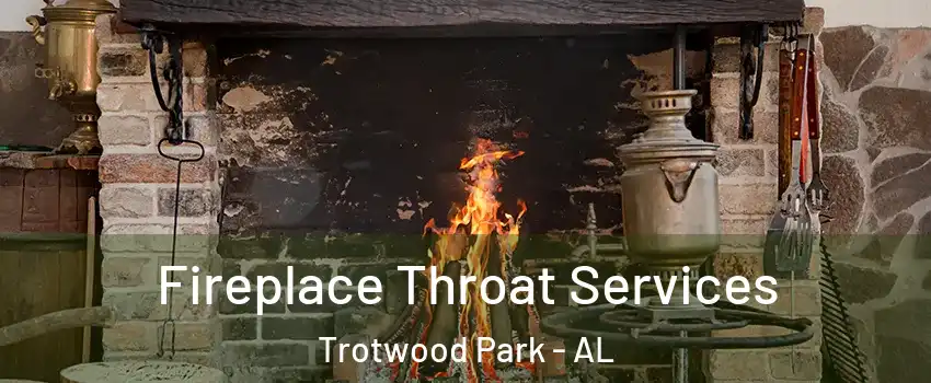 Fireplace Throat Services Trotwood Park - AL