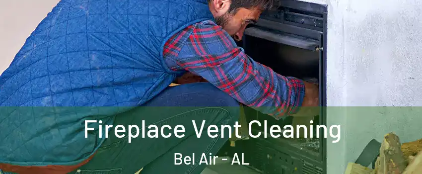 Fireplace Vent Cleaning Bel Air - AL