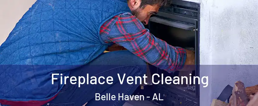 Fireplace Vent Cleaning Belle Haven - AL