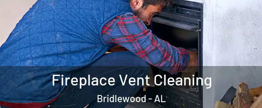 Fireplace Vent Cleaning Bridlewood - AL