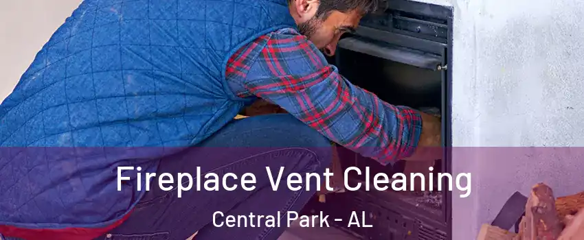 Fireplace Vent Cleaning Central Park - AL